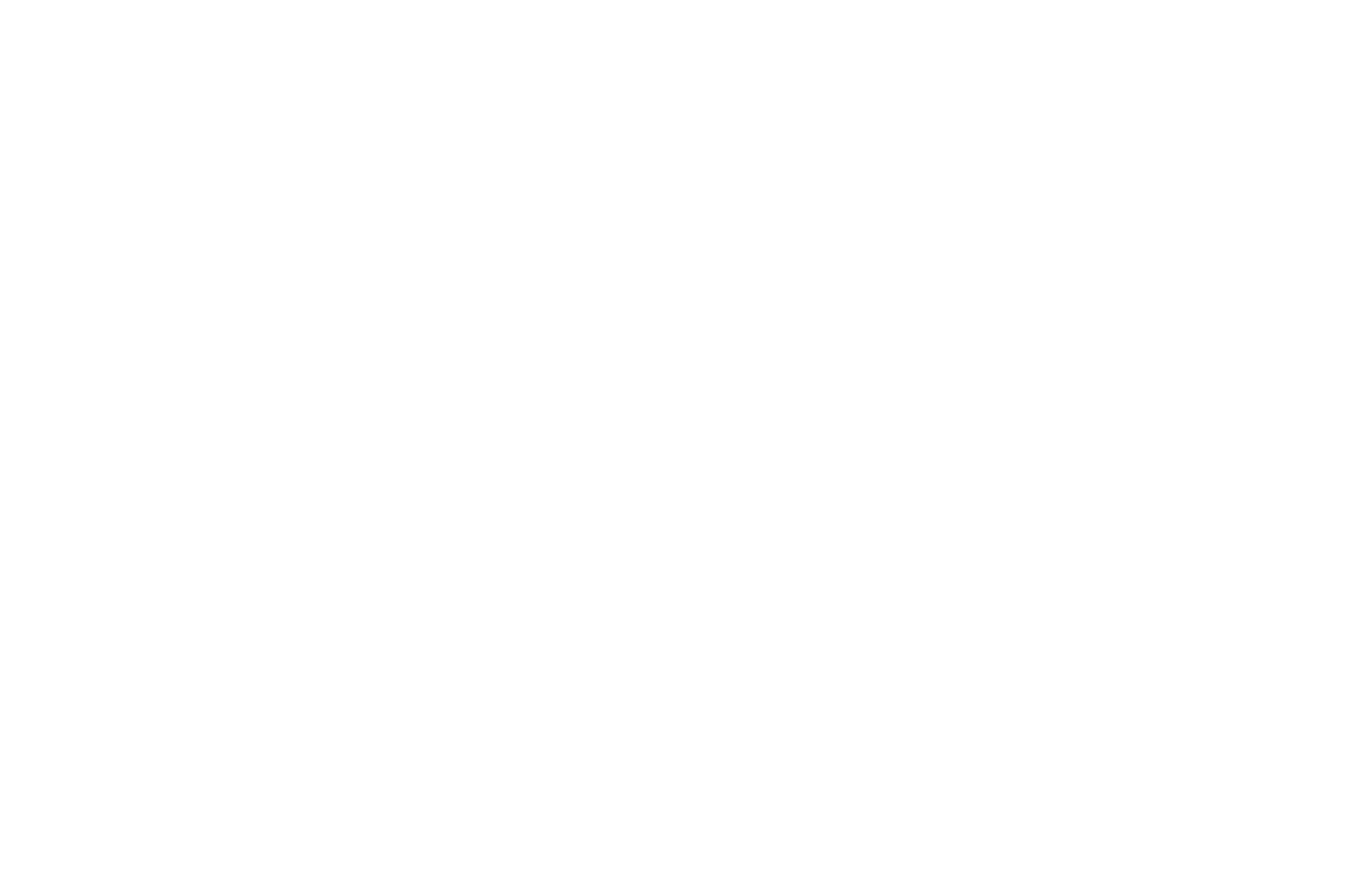 agente unico